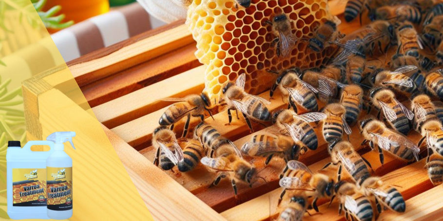 Довиждане, Вароа, Здравейте Здрави Пчелини Кошници: Пълен Ръководител за Лечение