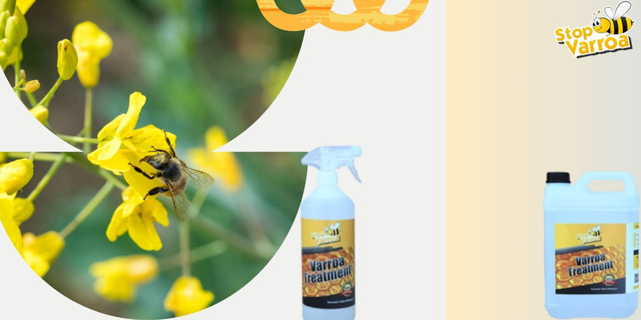 Антиципирайте присъствието на Вароа и защитете ефикасно нашите пчели