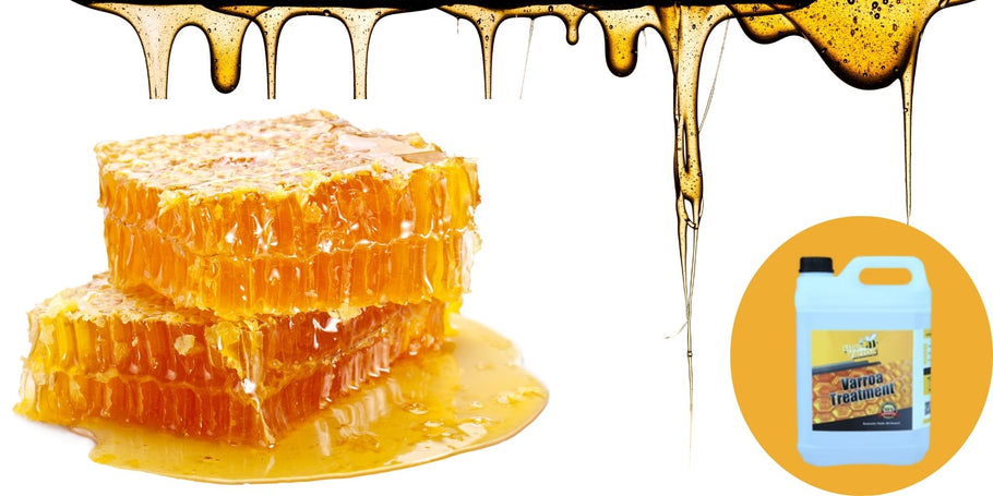 Пчеларство: Предупреждение за намалена продукция на мед!