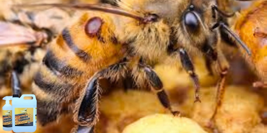 Иновация в защитата на пчелите: продуктът против Вароа, който променя играта
