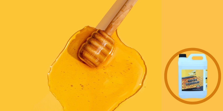 Загадката на изчезващия мед: Диагностициране на проблемите при производството на вашия мед