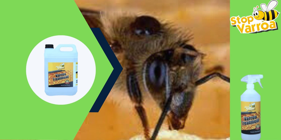 Революция срещу Вароа: Решението, което ще спаси вашите пчели