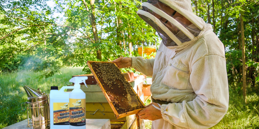 Акарите Varroa: заплаха за пчелите, решения за пчеларите